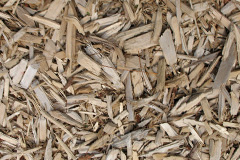 biomass boilers Burcote