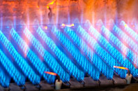 Burcote gas fired boilers